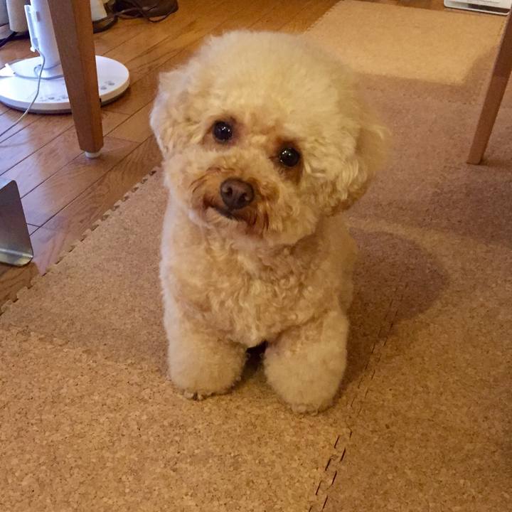 7d9b8f33 5408 41b8 ab71 2811b5425018