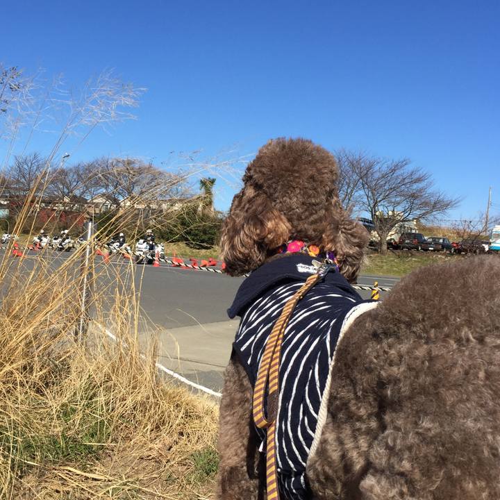 7d9cae7e 6281 4de7 a847 ddd26a17e4b8