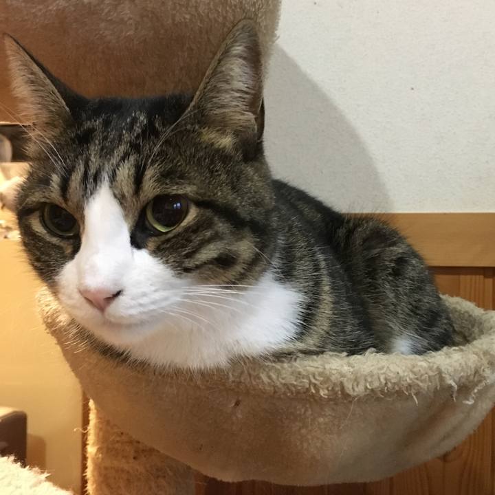 7d9cc11a 7d51 42f8 923e 8a5b49f6823f