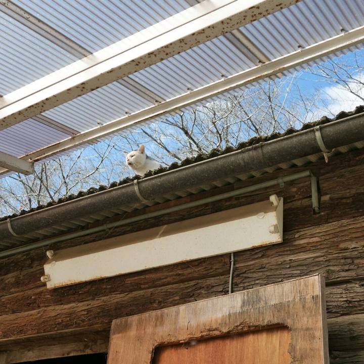 7d9cc661 ea97 4406 9787 028326732ff6