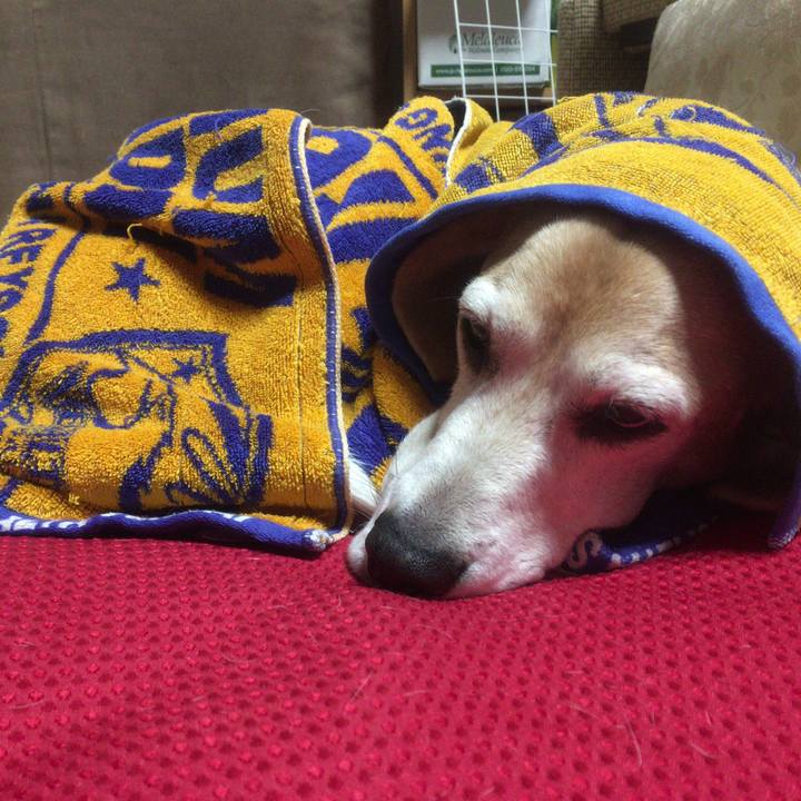 7d9db815 2c07 4ad6 a4d6 3d4bede719eb