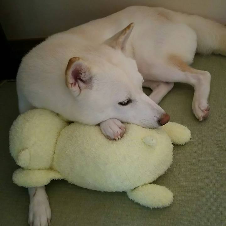 7d9dc2b5 c531 41e1 ab9e 2e6479cd710c