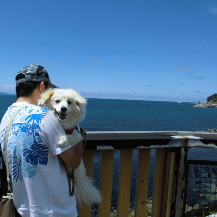 7d9e7531 fad3 4ffe 805b 60f47239fad6