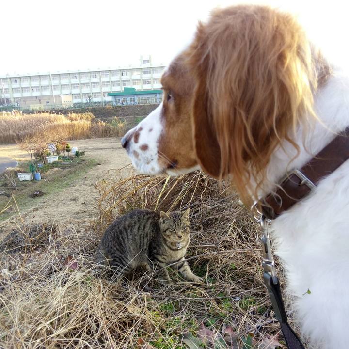 7d9eea83 fcb6 4cc3 bb6a df6b8e2095c2