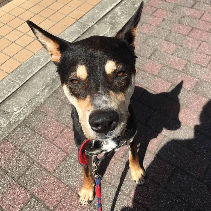 7d9fc4c1 a2c4 4334 a966 6144e41c8308