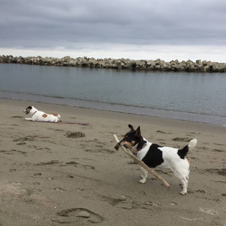 7da06412 aca3 47e4 9536 b06fb6b853e1