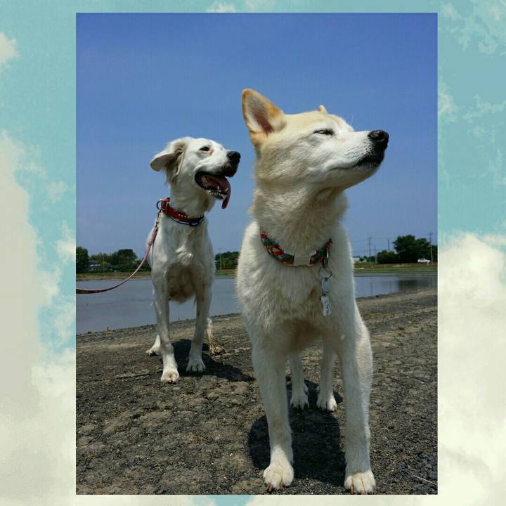 7da0eee9 f6d5 4712 bae4 e8f7bdfaf919