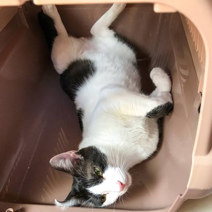 7da17ab9 6a7e 45dd afab cc4ea3097c88