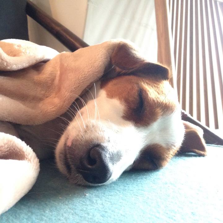 7da17f88 6d38 45c3 a3ea 4cef48b42912