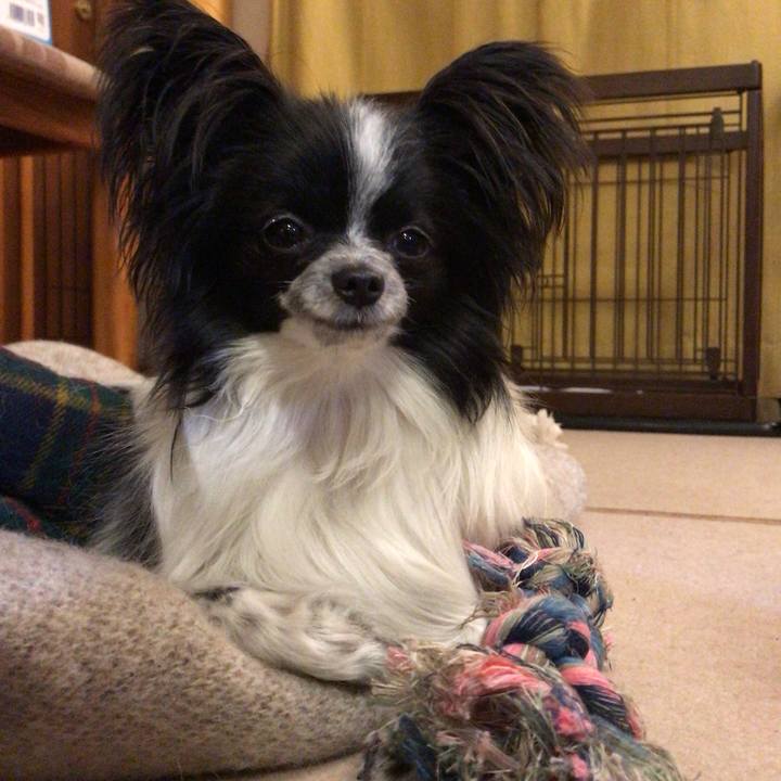 7da1856d e7d9 4eb5 ad01 d26f810a36ef