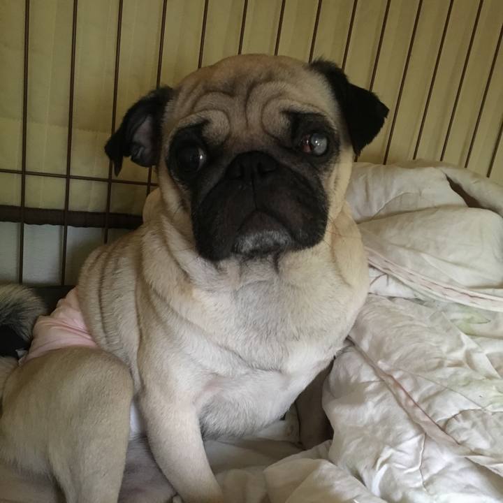 7da1894a 49f6 486a a513 25b0af1425e9