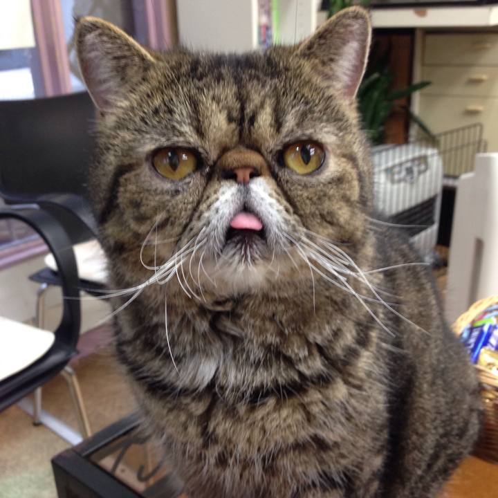 7da1c789 0afb 4511 b0cc cdee9fe34d54