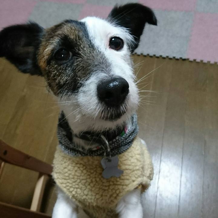 7da2a4e6 416f 46d1 815c 1ef9af981bba