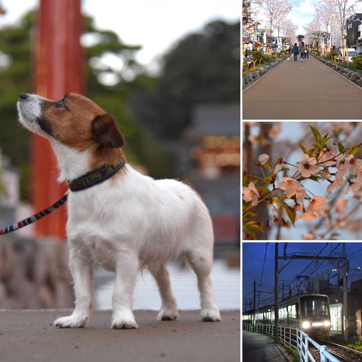 7da2e50c eb2f 4d90 96b2 ea50d546e442