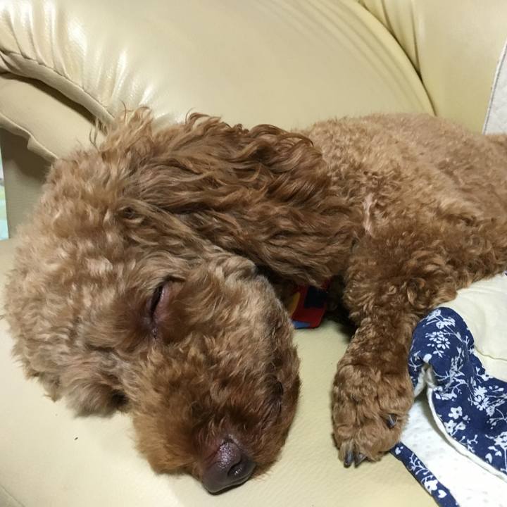 7da2fb26 0c65 4b36 ab58 e3254ebed676