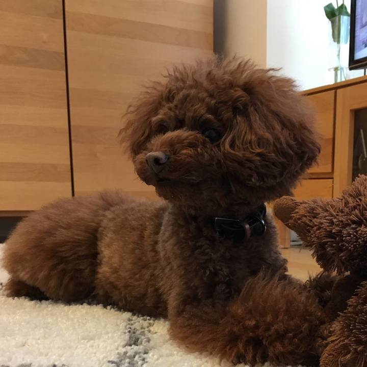 7da354b1 cb24 48f3 bcf3 29ee1415c225