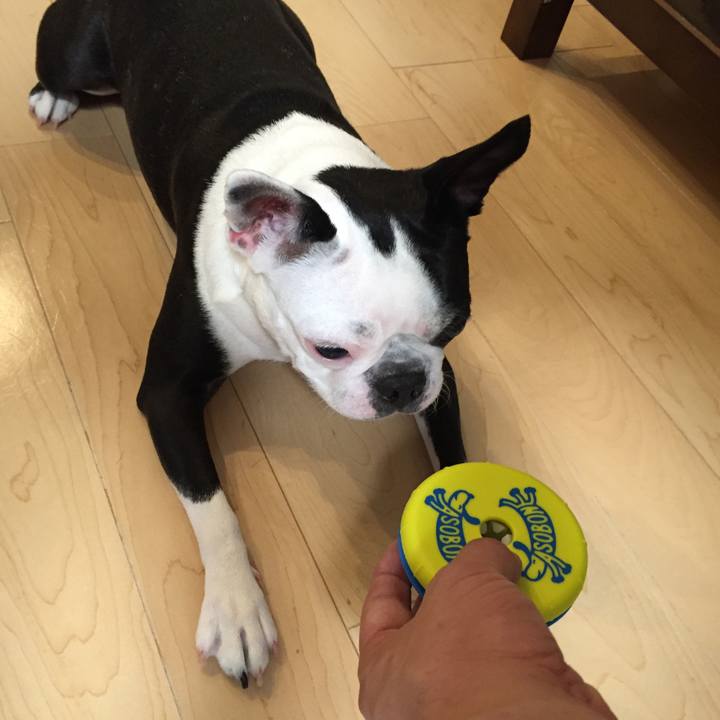 7da39f5c 8f43 4f9e 98df f72f6291de35