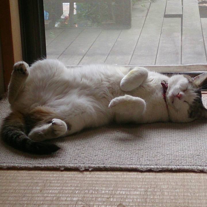 7da3f966 9950 4fd1 a807 db893131b8ca