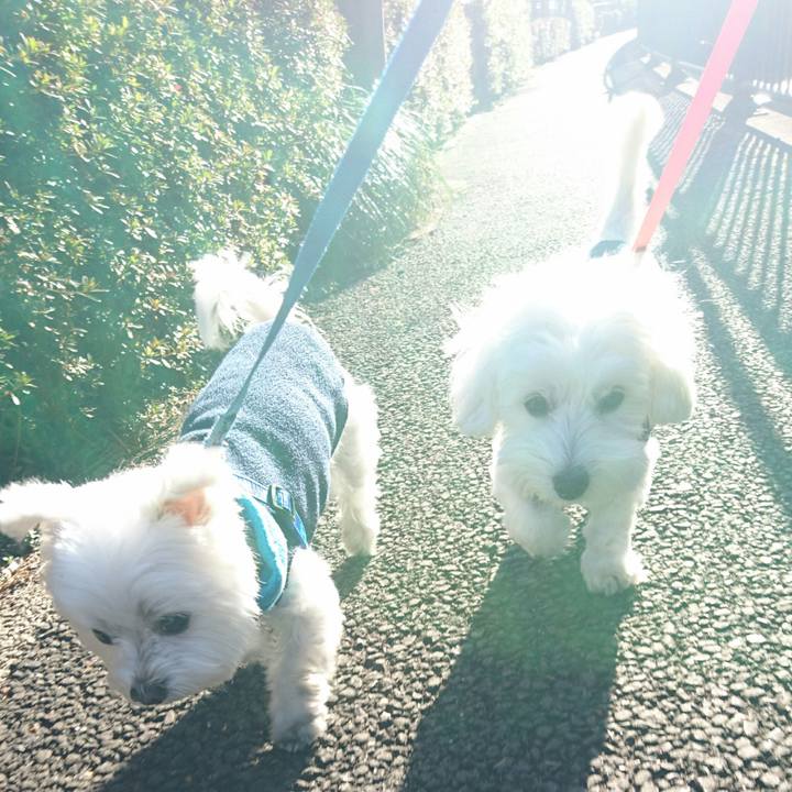 7da40844 71b8 40f0 a489 d592815ff01d