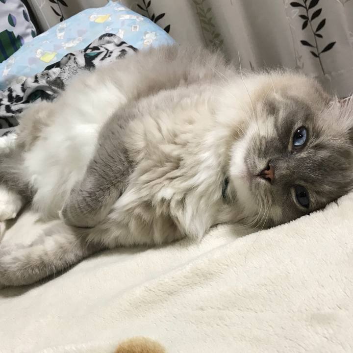 7da4a1f9 ceb0 43a9 86ae a72c863e3e48