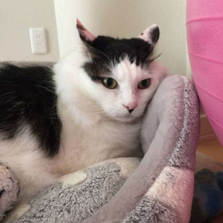 7da4b279 c233 4151 a9de 230aa51ef5c3