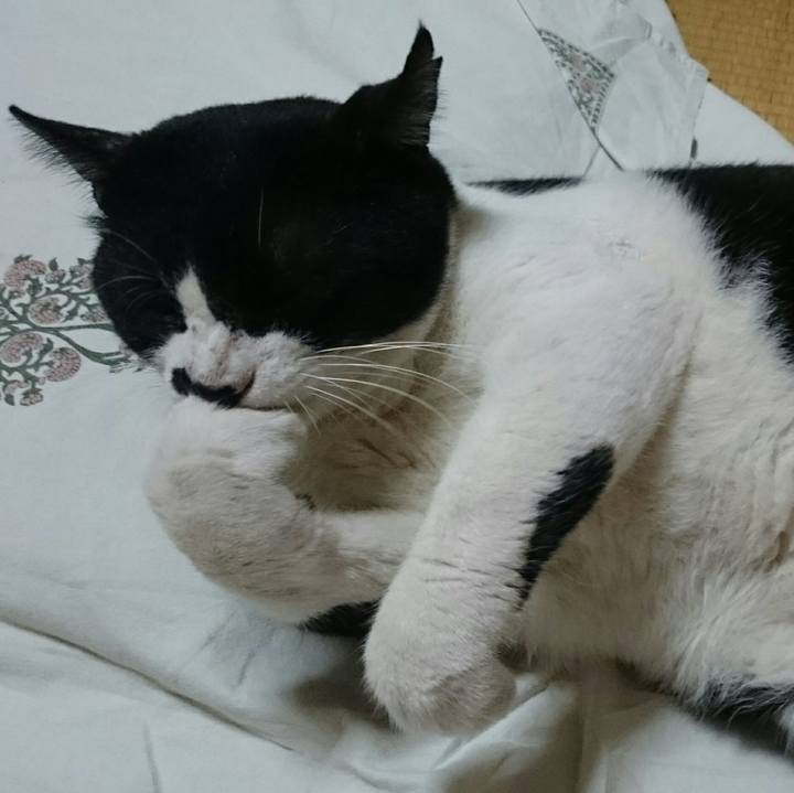 7da66865 0f7f 4eef 8670 3ad85d09d6da