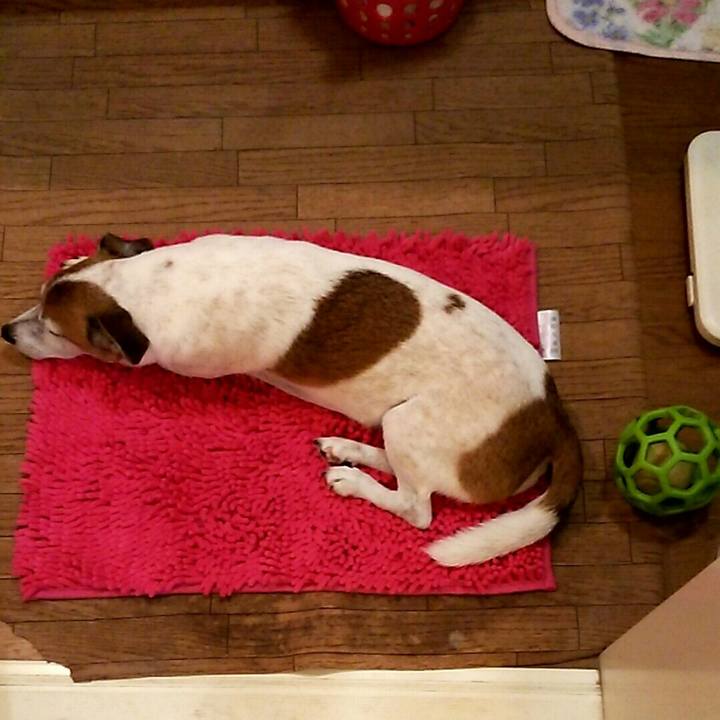 7da6937c efbc 4ed7 9cf2 a858bd0e5558