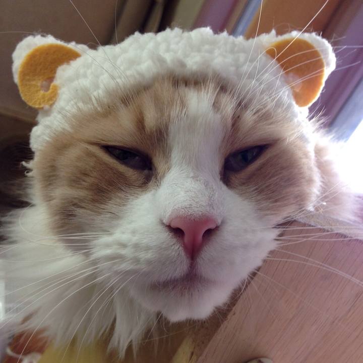 7da6982b 6556 42f5 864b c284621e57aa