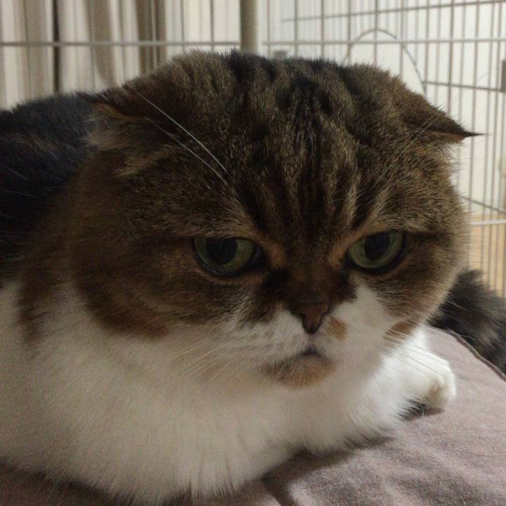 7da6a952 6852 4f30 87f1 0e631c7b45b8