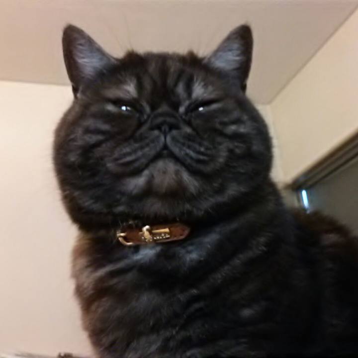 7da71d8b 5b08 4791 9b9f 913a4456bb88