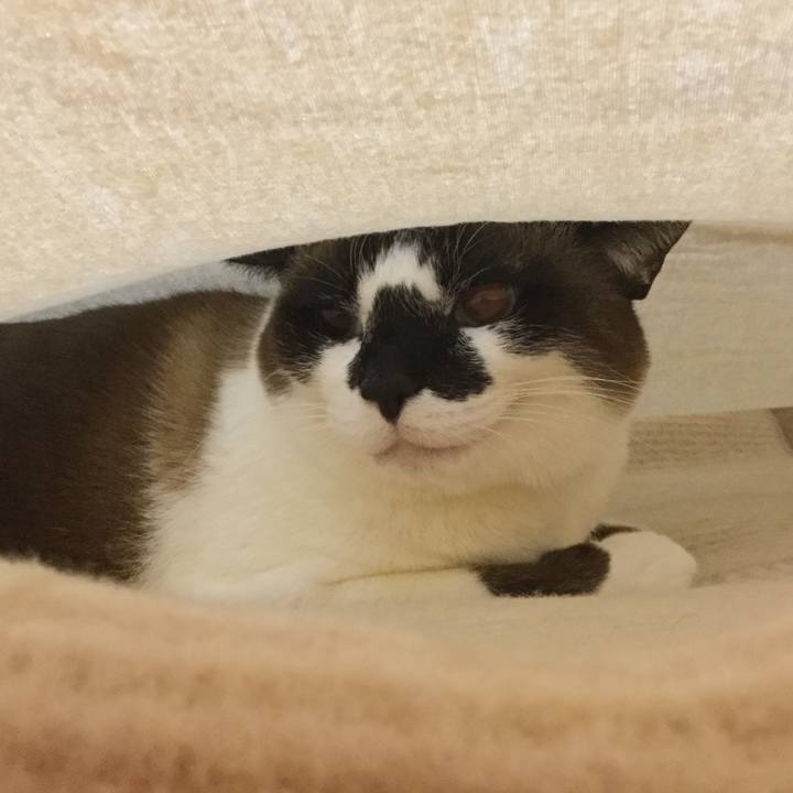 7da78e10 6be5 458e ba66 0a6d3549520d