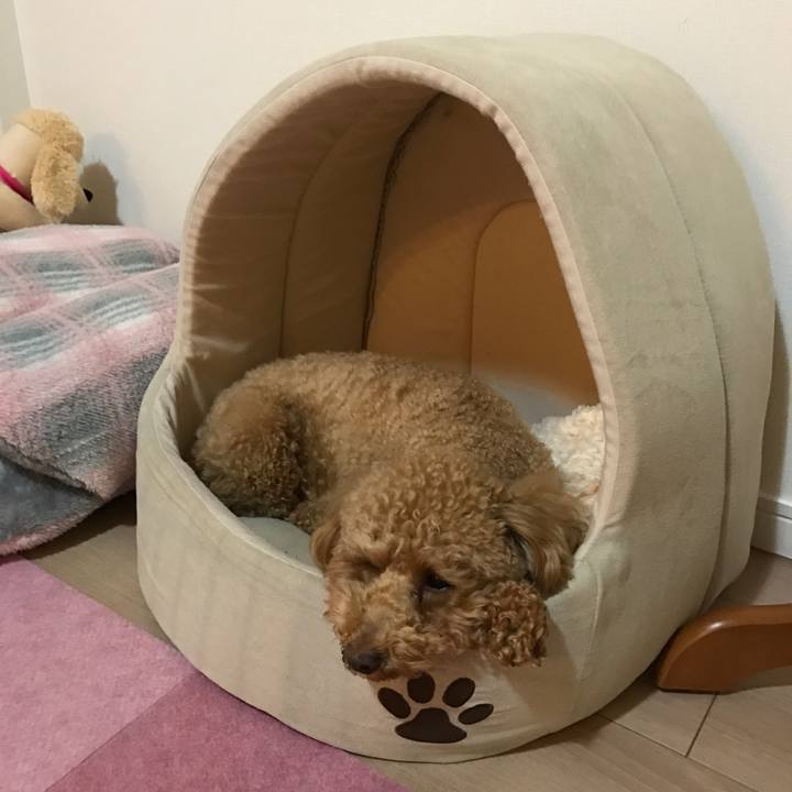 7da8176d 5eec 4675 b424 0a7ce4acc53a