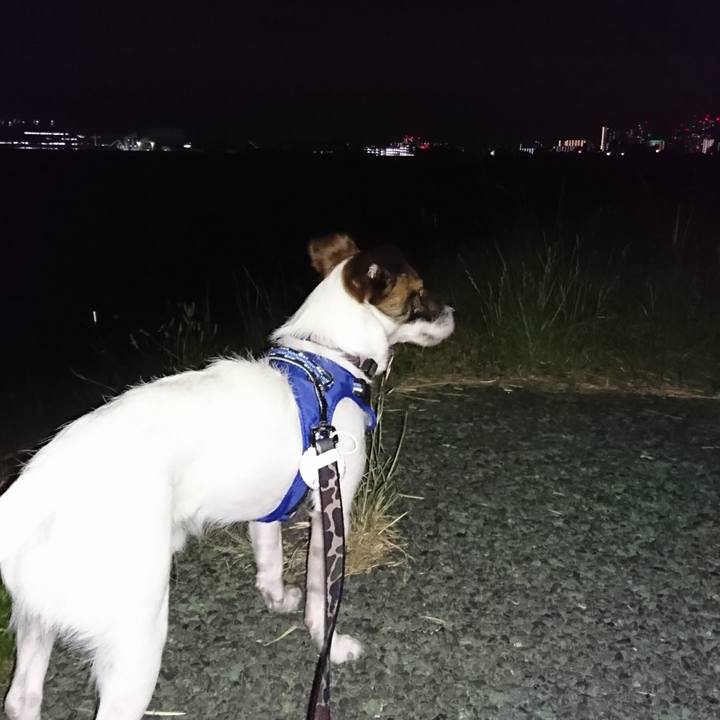 7da8868e 85ff 4f06 9e04 12e6082f61c9