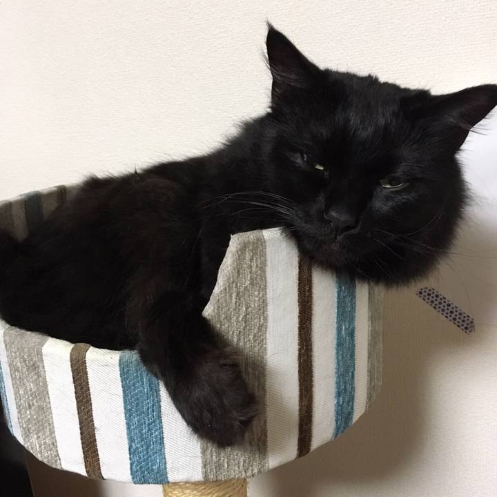 7da89147 e67f 4431 b804 d211a72fd6b0