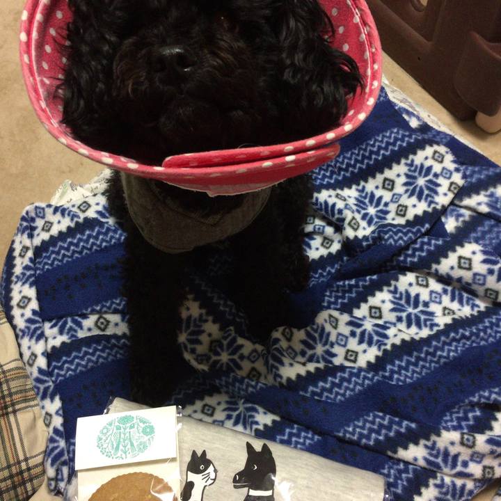 7da940f5 849e 440e a7a1 326ceef14f45