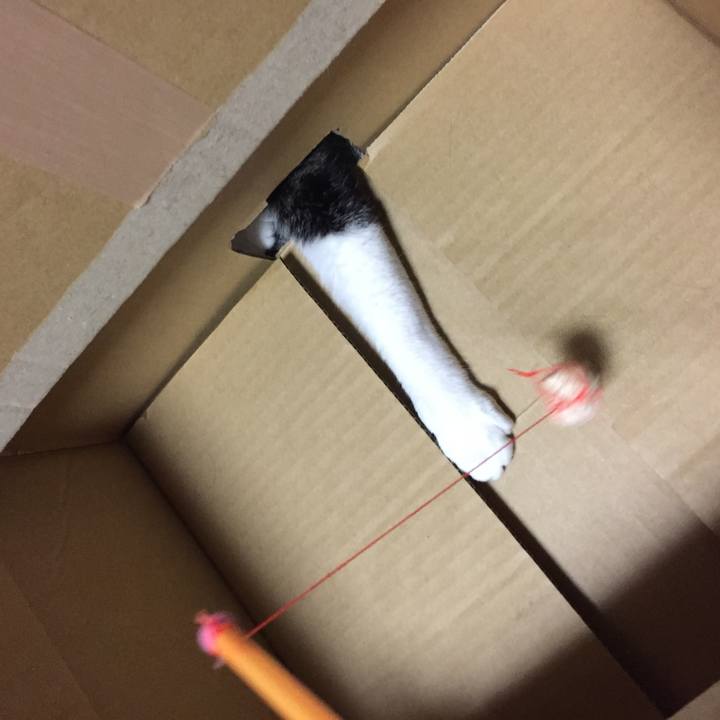 7da98c11 ccb6 464a 9b13 7fcda82dfa05