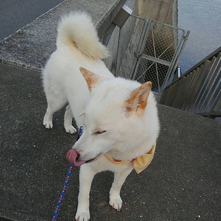 7da9b3e9 b97e 472a 8334 e98cada3f19c