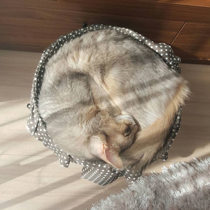 7daa1caa 70cc 45bd ba12 7bbfc64c3ed8