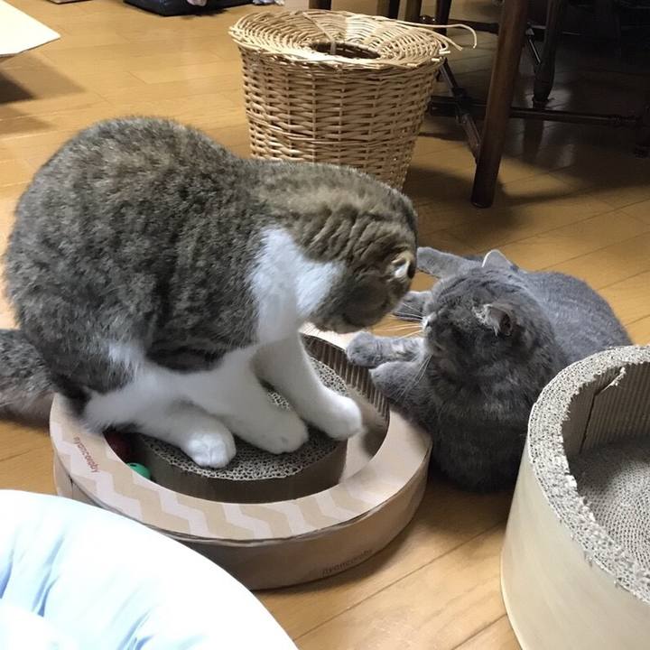 7daca7c6 4774 438b 8501 dc88f3fbeacb