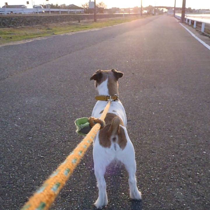 7dacf7fa 5e1d 443e 99cb 689e170790e1