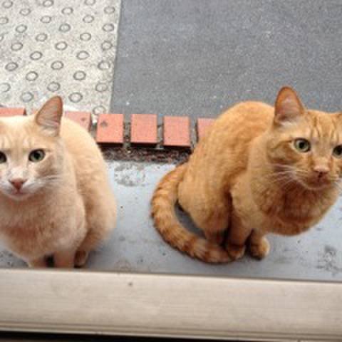 7daddab8 ce2a 4506 b3f1 5735a8c5e597