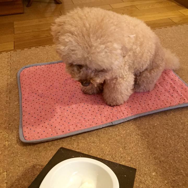 7dae1e50 a4d2 48bf b032 1ad85cf02353