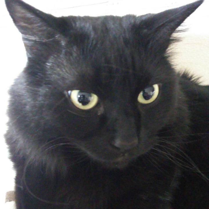 7dae2441 bdc3 4925 8635 8371fdefeb34