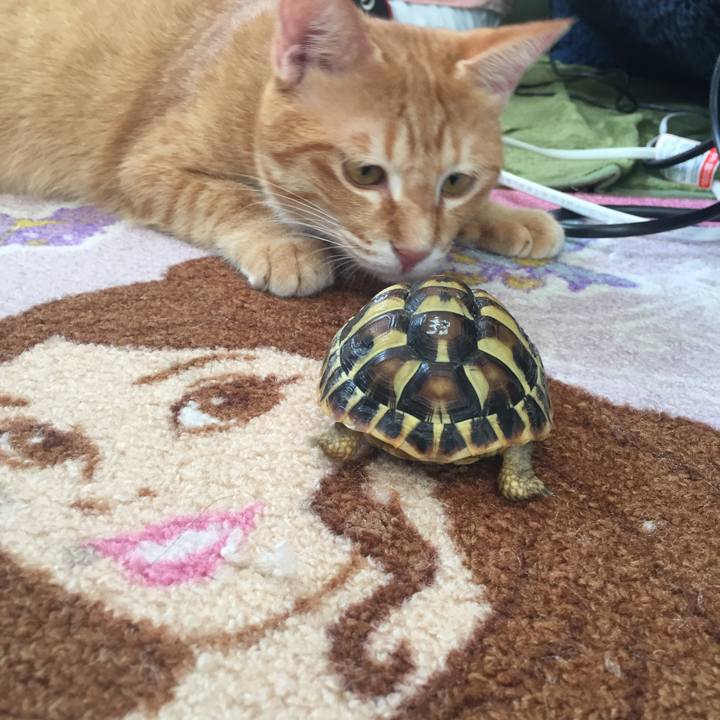 7daf0f1f 4386 44fe 9934 09452617ff57