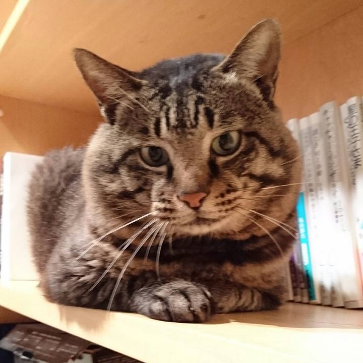 7daf2212 910e 4c89 8d6e 686fd381089b