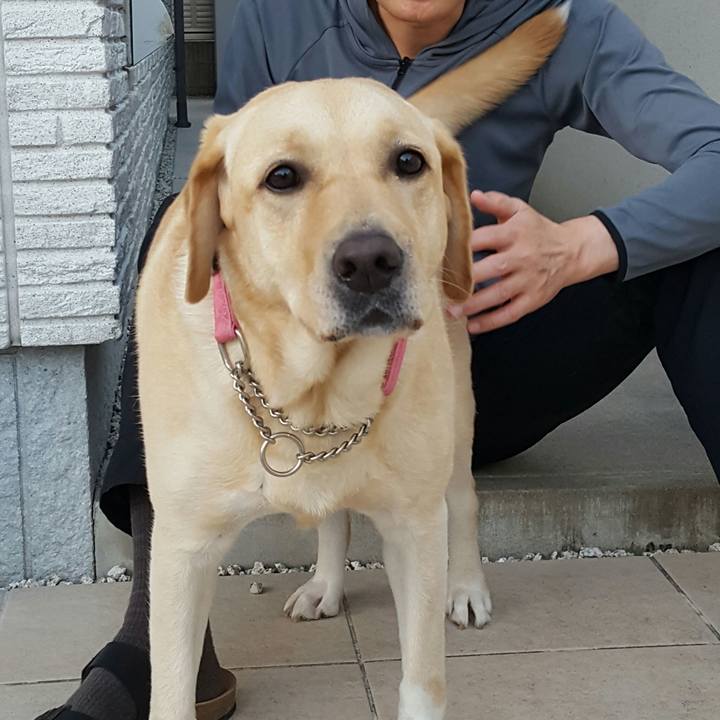 7daf28b1 c73c 4fa6 ae2c 06a0a9e4afe2