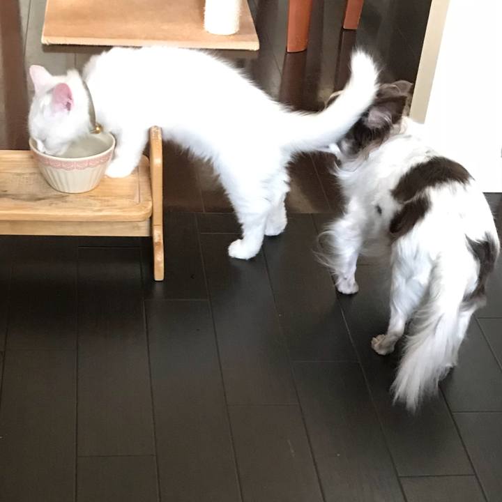 7daf54bf 0a86 450d 829d 3b1c9055e595