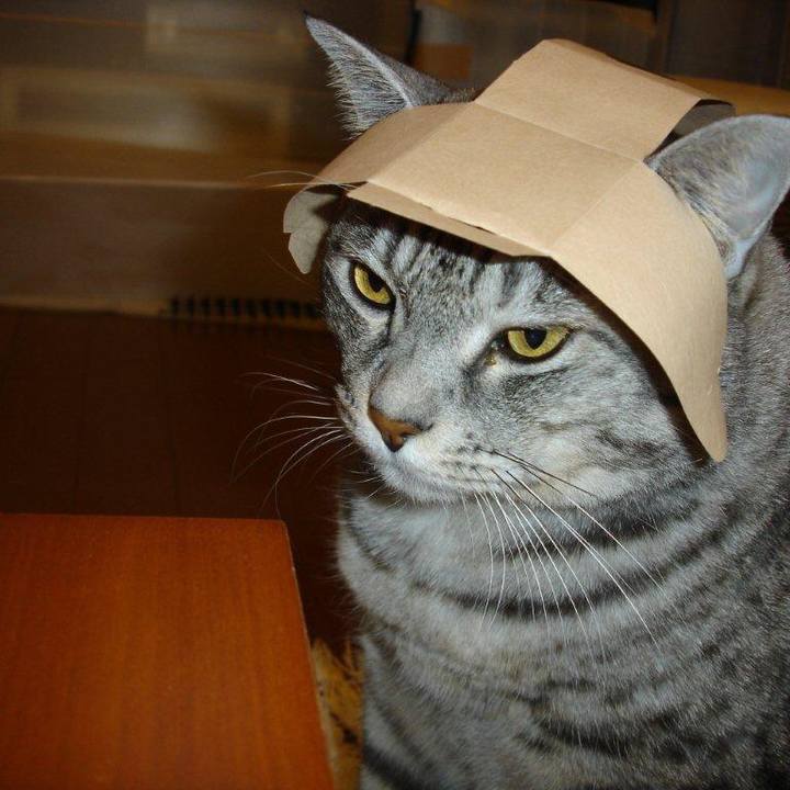 7daffd2f 4c3f 45d6 b889 a948045f2c19