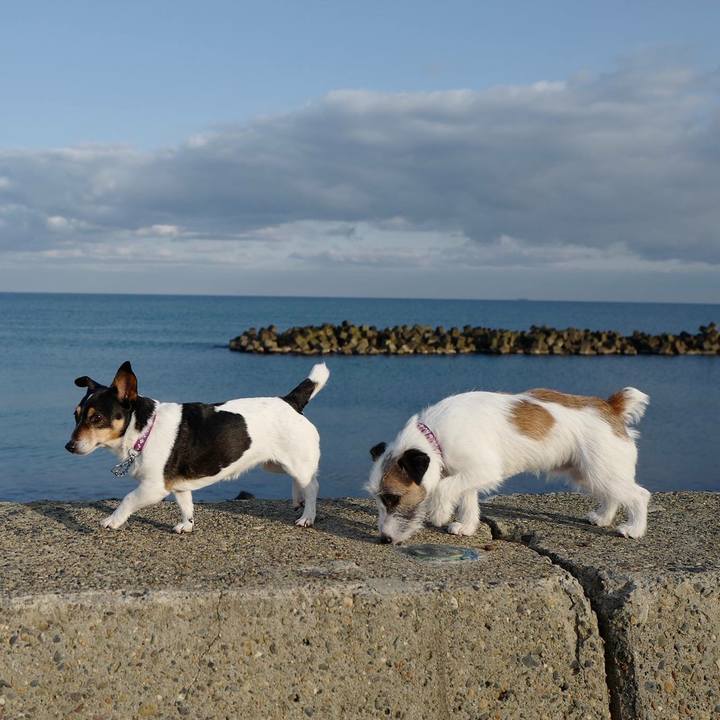 7db07ec6 5253 4fbf b371 d185469d2cab