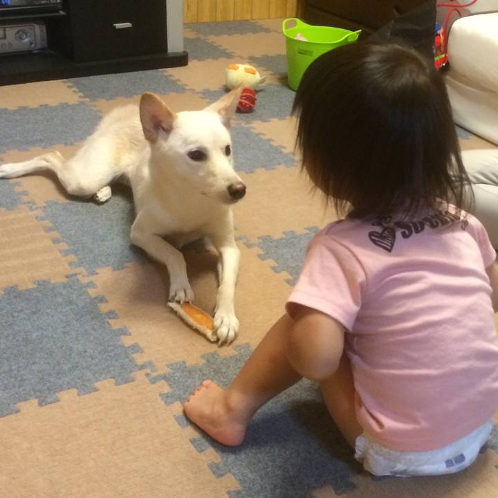 7db0c6f6 c914 444e 90a0 4cb95dbd2e11